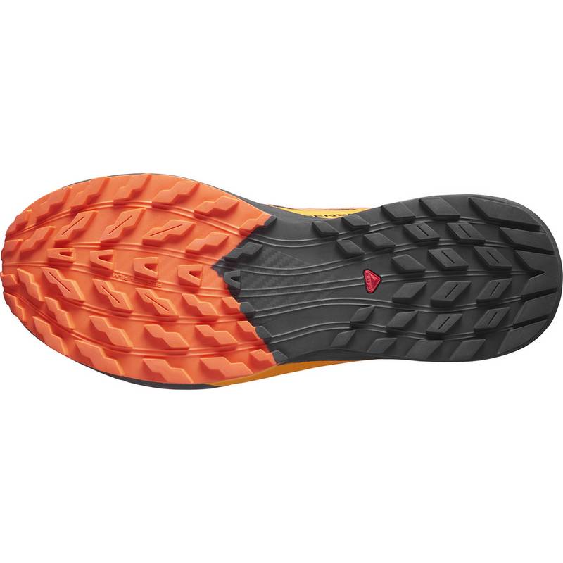 Salomon SENSE RIDE 5 Laufschuhe Herren