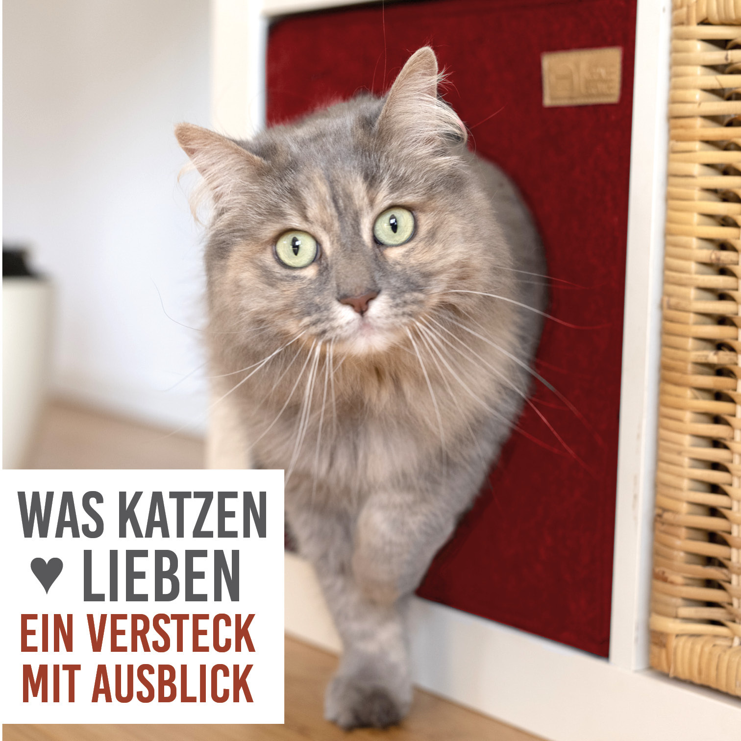 KaraLuna Katzenhöhlen KaraLuna Katzenhöhle aus Filz fürs Regal rot