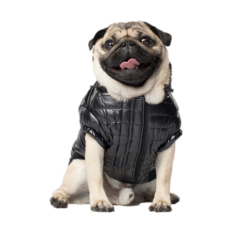 Canada Pooch Hundewesten Canada Pooch Glänzende Pufferweste L