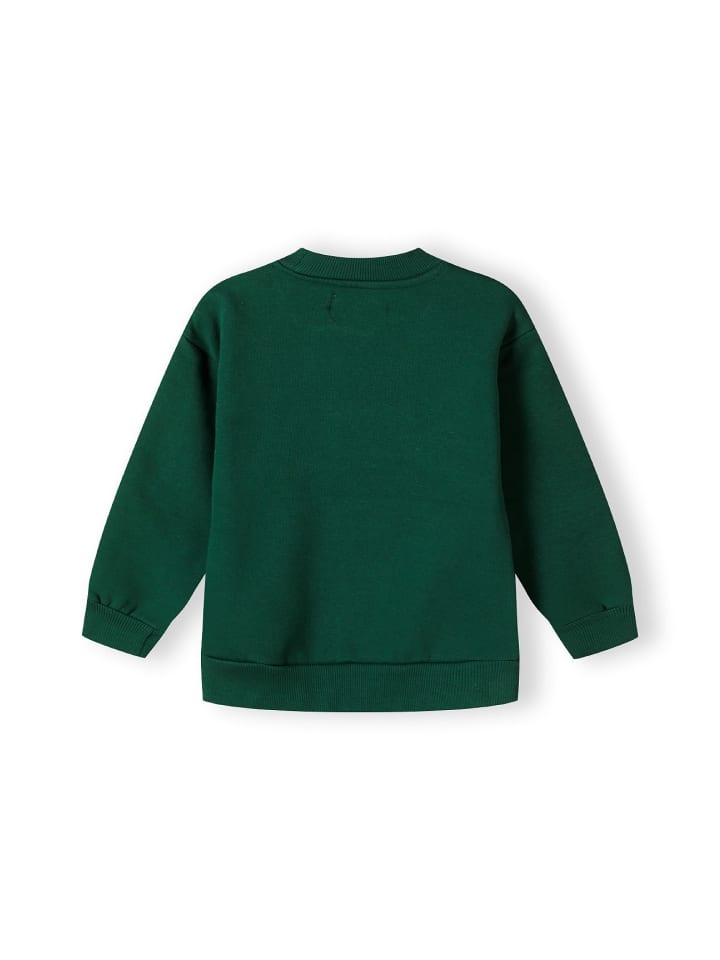 Minoti Sweatshirts 19fleece10 in grün günstig kaufen
