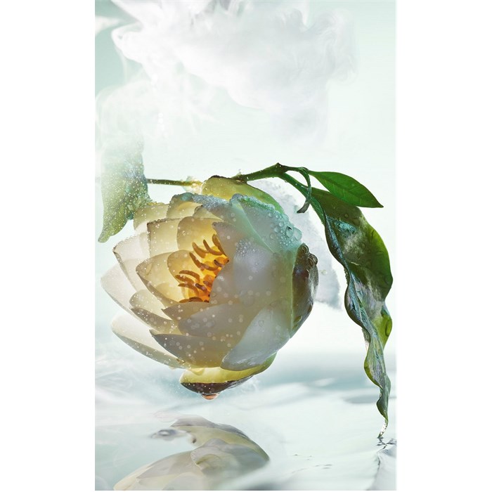 Eau de Toilette Spray