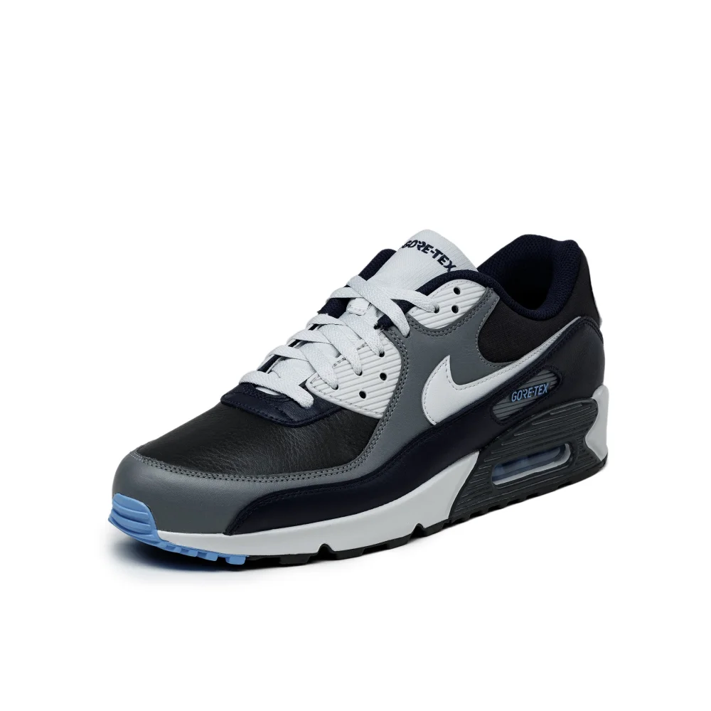 Nike Air Max 90 GTX TEX GORE DJ9779-004 / grau