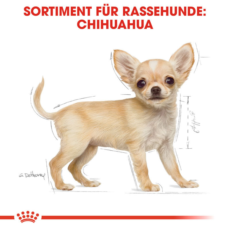 ROYAL CANIN Hundetrockenfutter ROYAL CANIN Chihuahua Puppy 1,5 kg