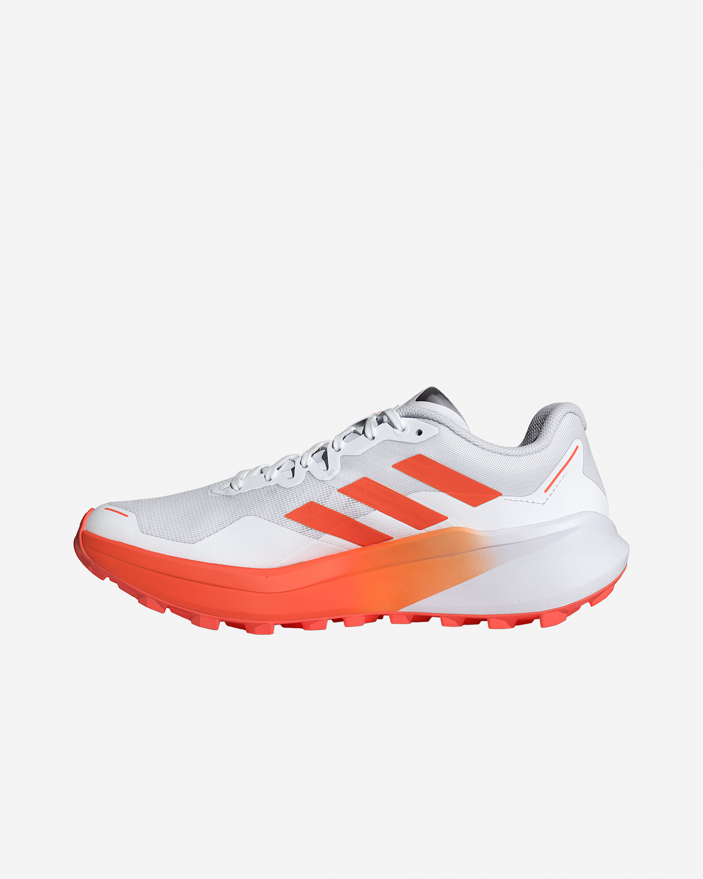 Scarpe Trail Adidas Terrex Agravic 3 M JI0951
