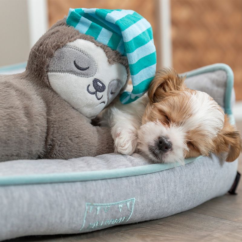 Trixie Junior Hundespielzeug Faultier zu TOP-Preisen | bitiba.de