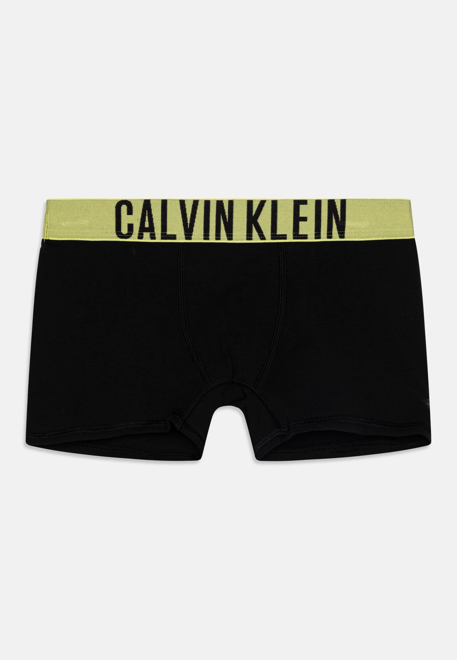 Calvin Klein Underwear TRUNK PACK DE 2 - Culotte