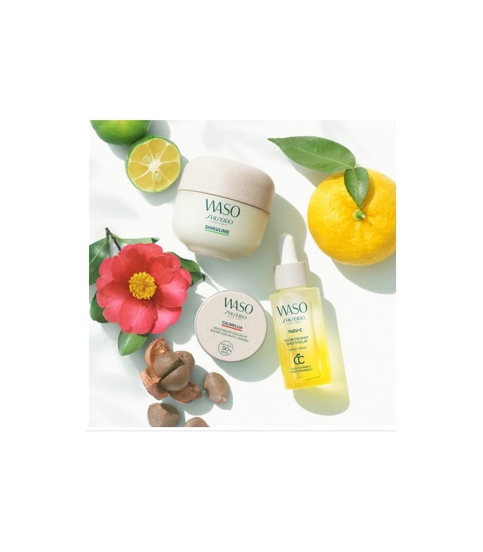 Shiseido-WASO-Baume SOS Multi-usages