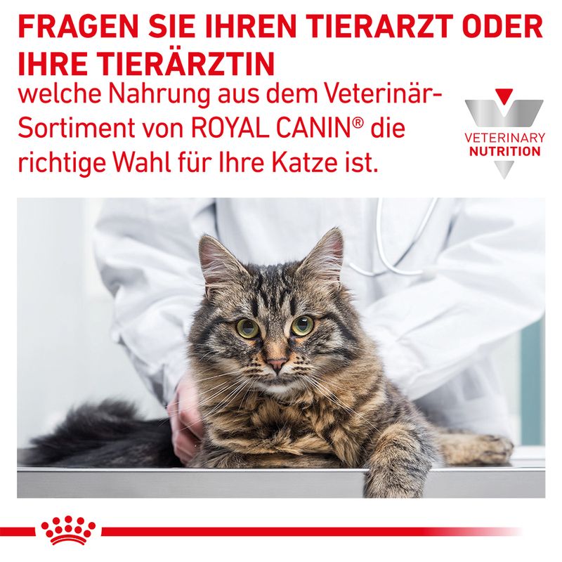 Royal Canin Veterinary Feline Hepatic zu TOP-Preisen | bitiba %