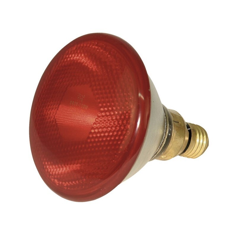 Kerbl Zubehör Kerbl Infrarot-Sparlampe 175W