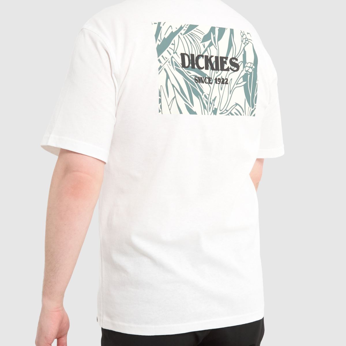 DICKIES Max Meadow póló fehér színben