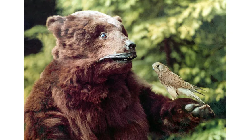 Schneeweißchen und Rosenrot (1979) (Filmjuwelen / DEFA-Märchen)