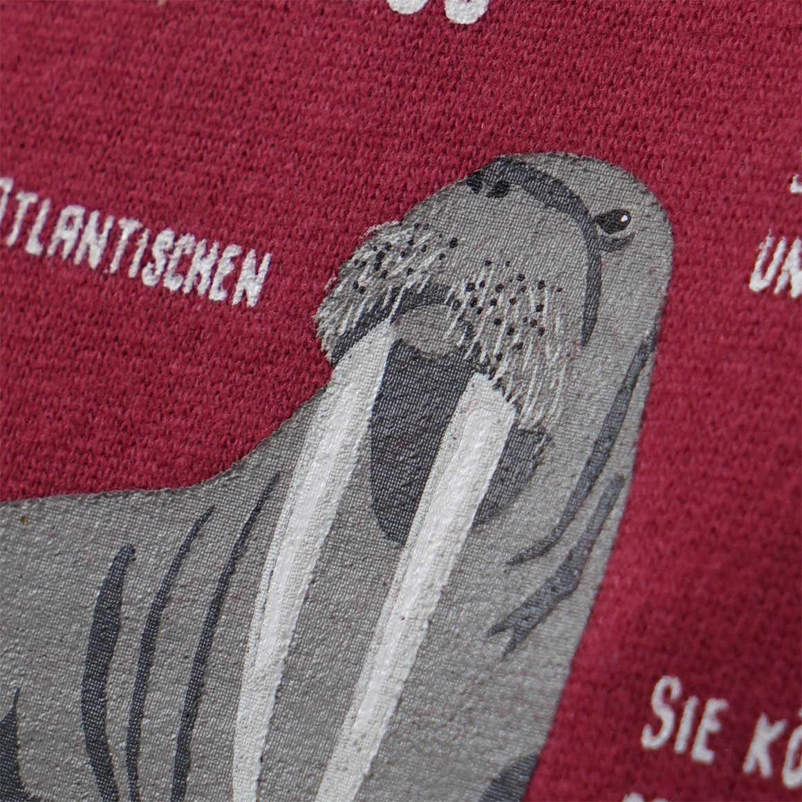 Kinder Sweatshirt mit Walross-Motiv