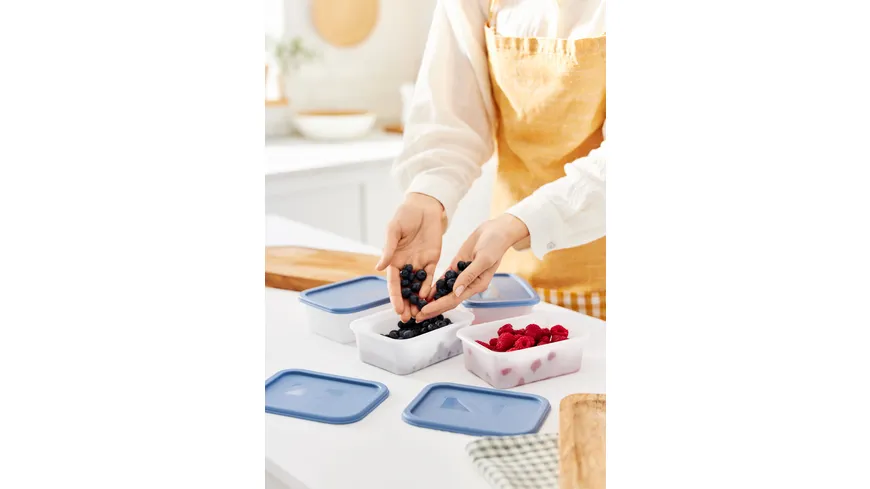 rotho Gefrierdosen Set DOMINO 4-tlg. 0,5l horizon blue