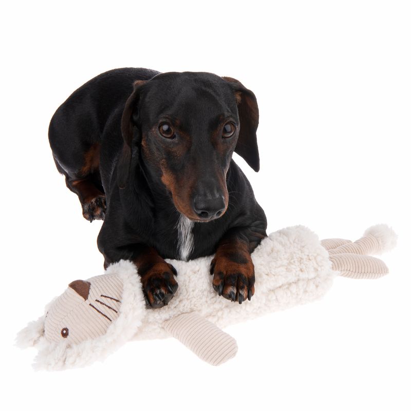 Hundespielzeug Lionel zu TOP-Preisen