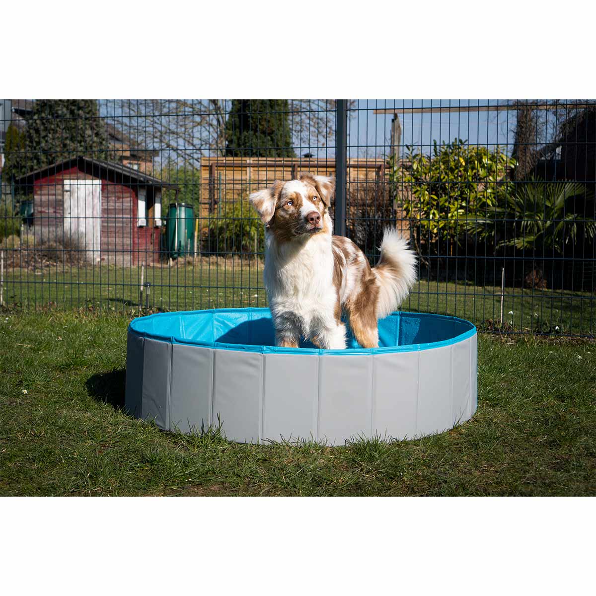 ZooRoyal Hundepool günstig kaufen