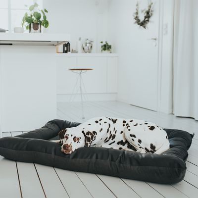 HUNTER Hundebett Bologna, schwarz