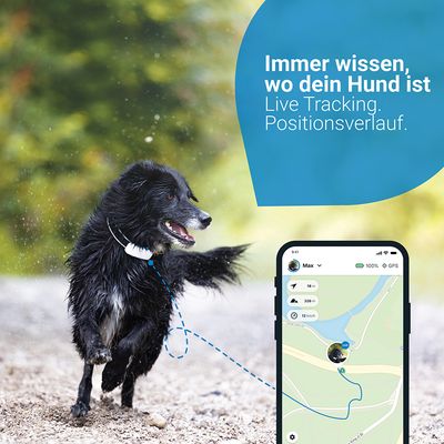 Tractive GPS Tracker für Hunde