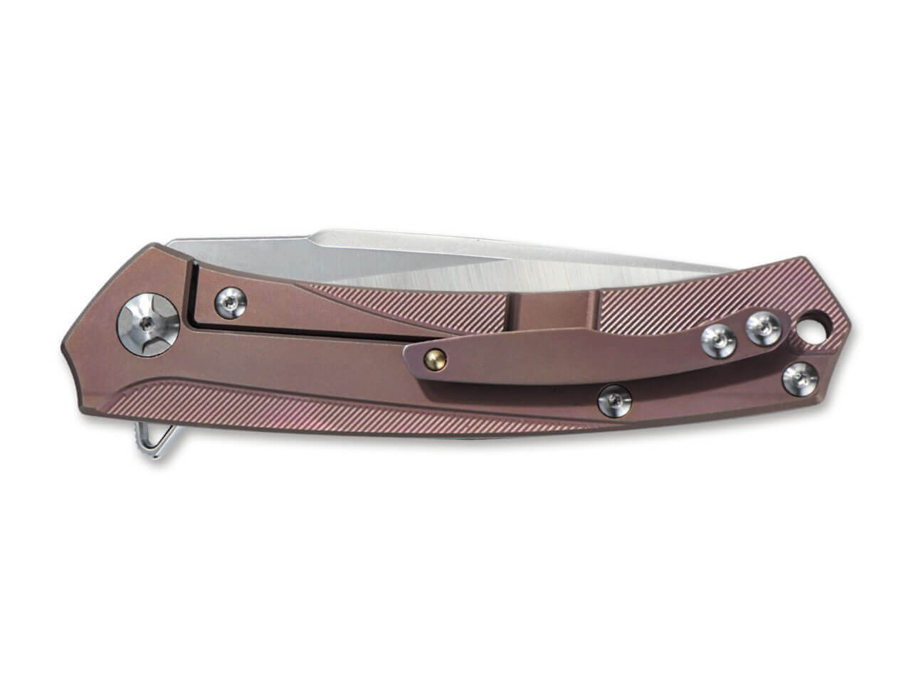 Barracuda Copper