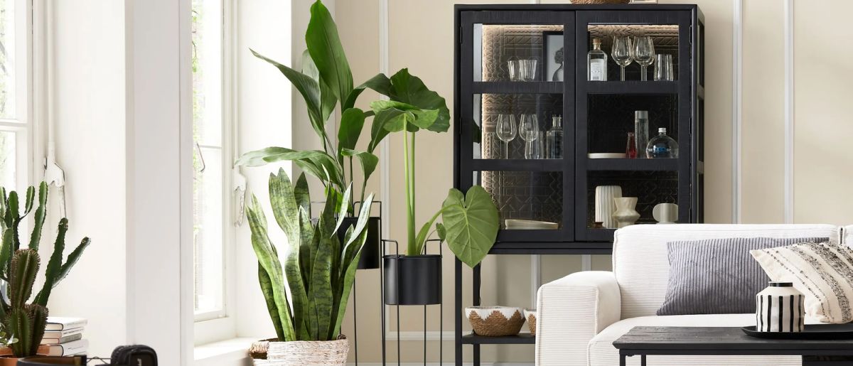 Roomio Vitrine No. 2001 Schwarz