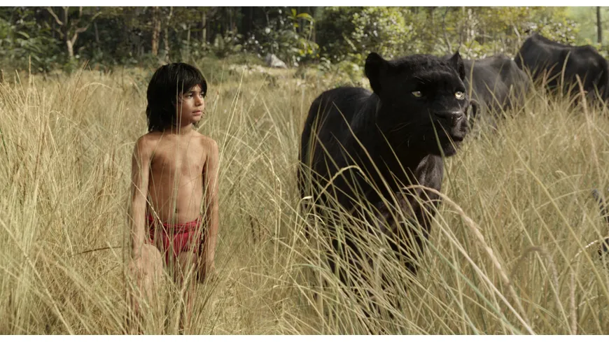 The Jungle Book