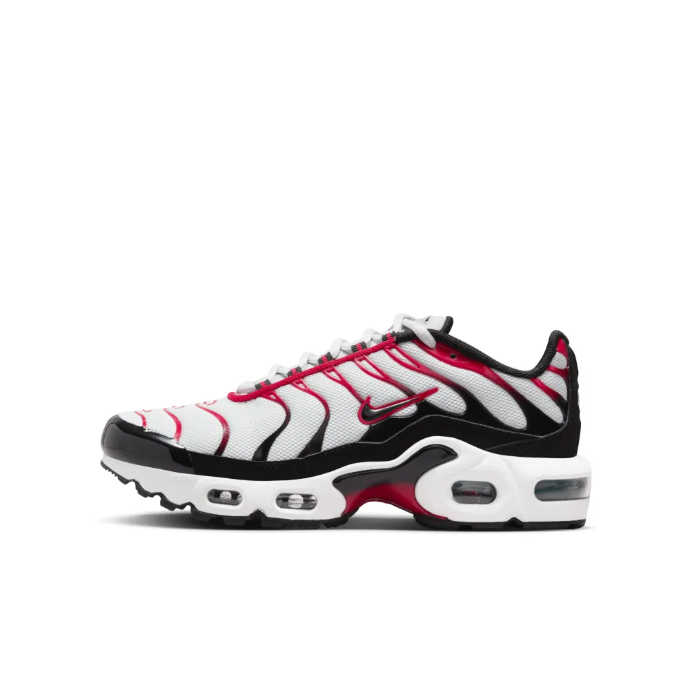 Nike Air Max Plus CD0609-027 / grau