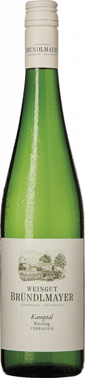 Weingut Willi Bründlmayer Bründlmayer Riesling Kamptal Terassen Qualitätswein Trocken 2021
