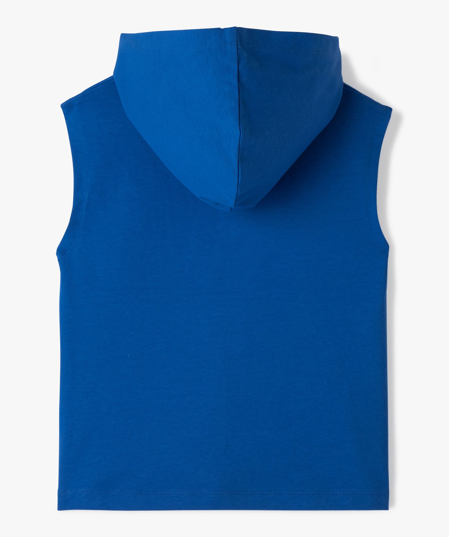 Sweat Garçon à capuche sans manches bleu | GEMO