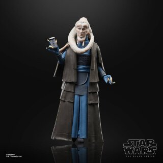 Star Wars Episode VI 40th Anniversary Black Series Actionfigur: Bib Fortuna
