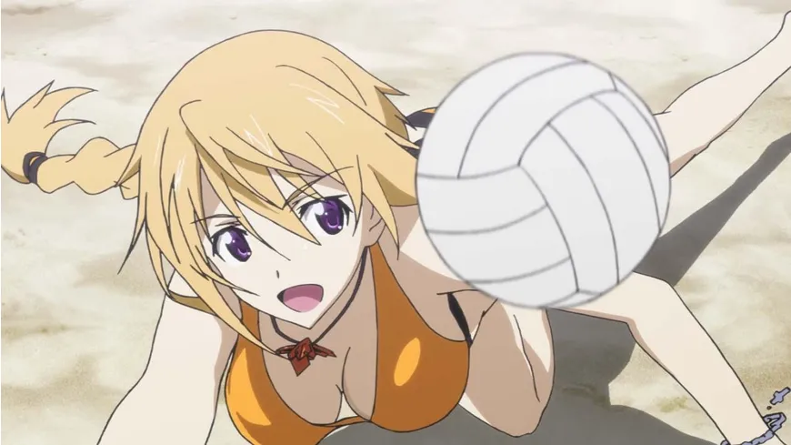 Infinite Stratos - Volume 2 LTD.