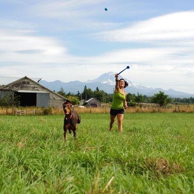 Chuckit! Ball Launcher Sport