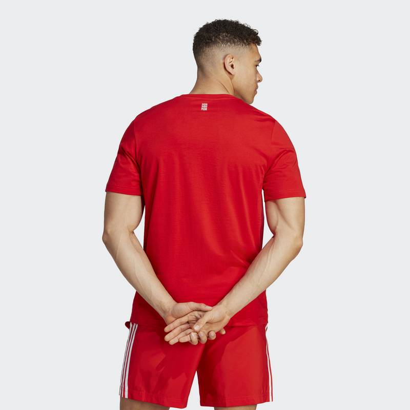 adidas FC Bayern München DNA Graphic T-Shirt T-Shirt Herren