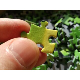Puzzle: Puzzle³ (1000 Teile)