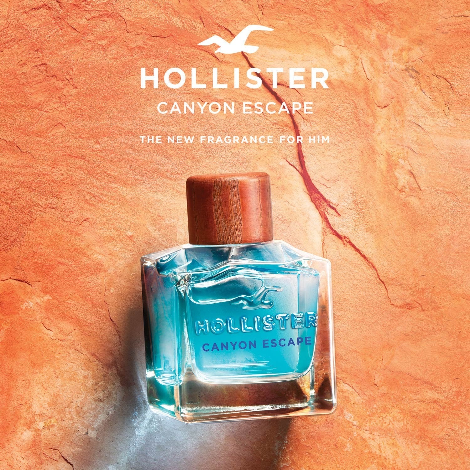 Hollister Canyon-Auszeit für Ihn