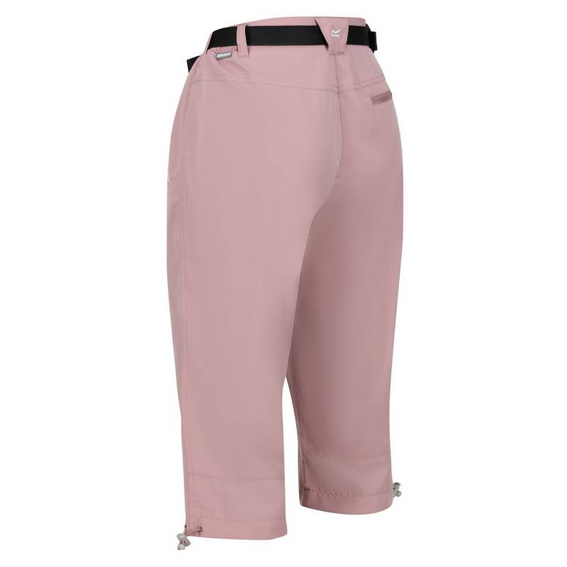 Regatta Xert Capri Wanderhose Damen