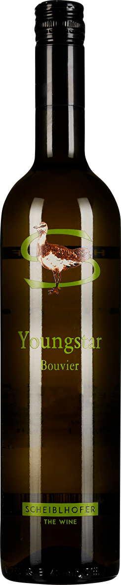 Erich Scheiblhofer Bouvier Youngstar 2023