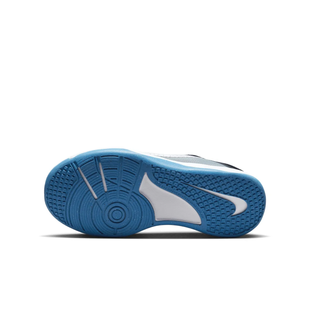 Nike Omni Multi Court DM9027-006 / grau