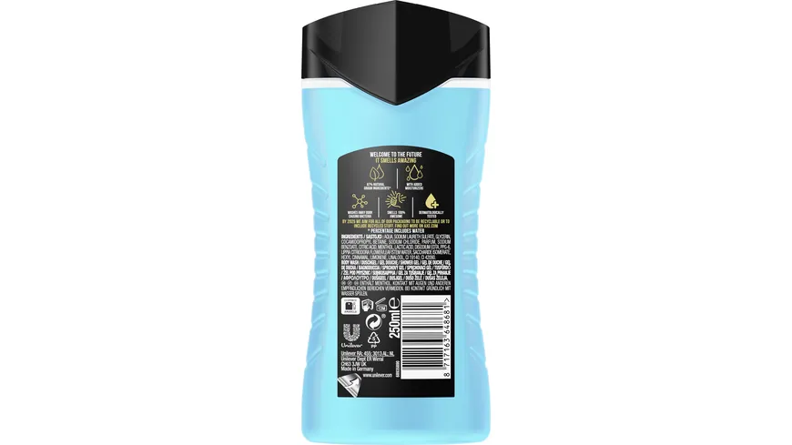 AXE Duschgel Ice Chill Insta Cool 250 ml