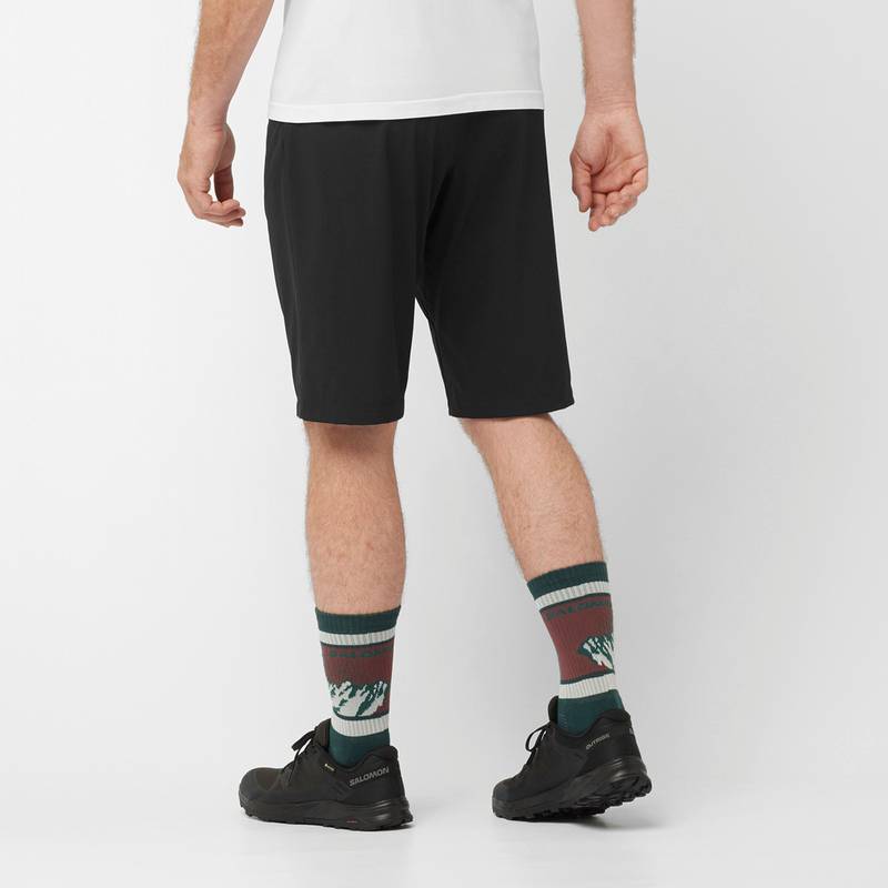 Salomon Wayfarer Funktionsshorts Herren