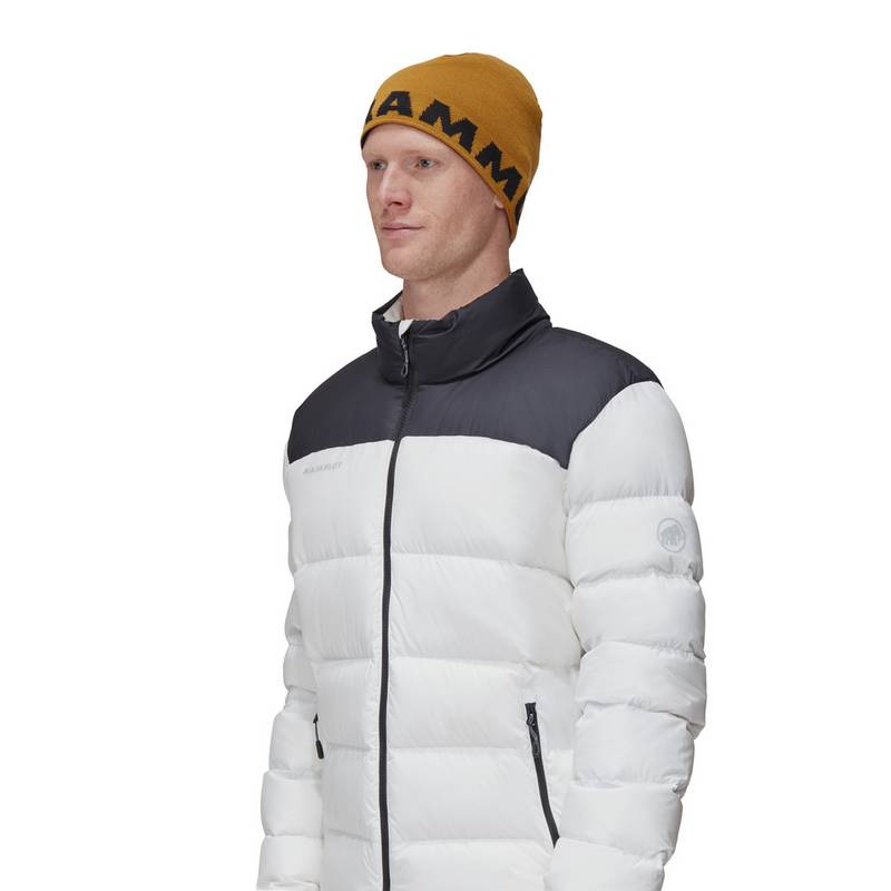 Mammut Mammut Logo Beanie