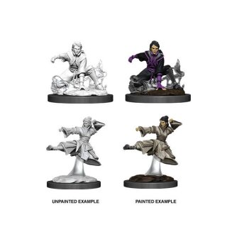 D&D Nolzur's Marvelous Miniatures - Female Human Monk