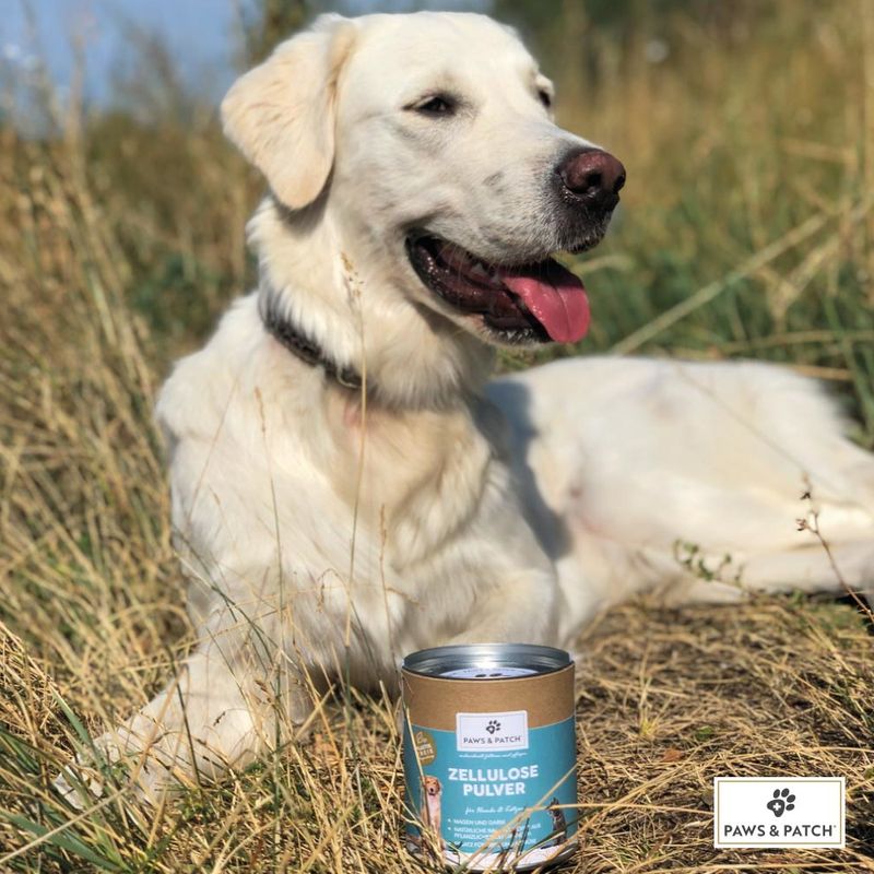 PAWS & PATCH Zellulosepulver zu TOP-Preisen