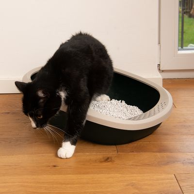kooa Schalentoilette aus 100% recyceltem Plastik