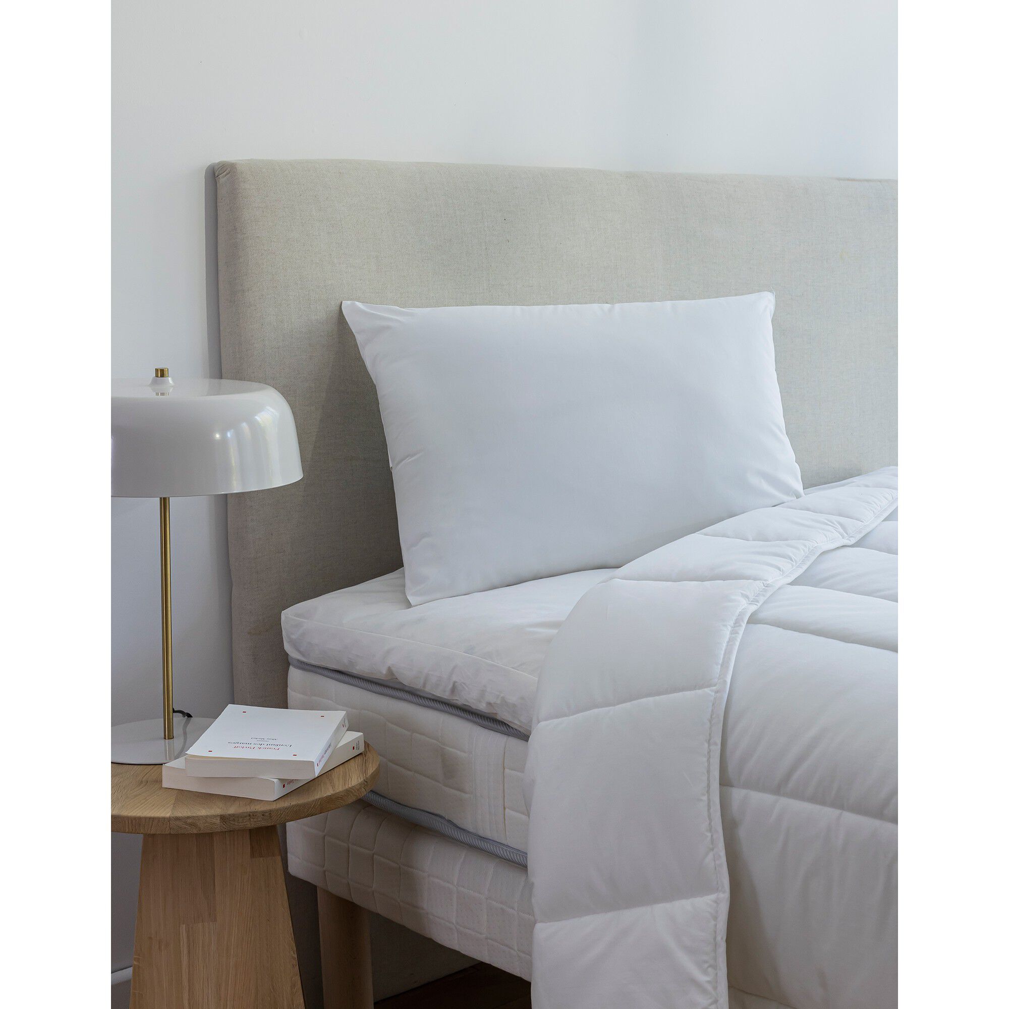 Oreiller anti-acariens Proneem moelleux
