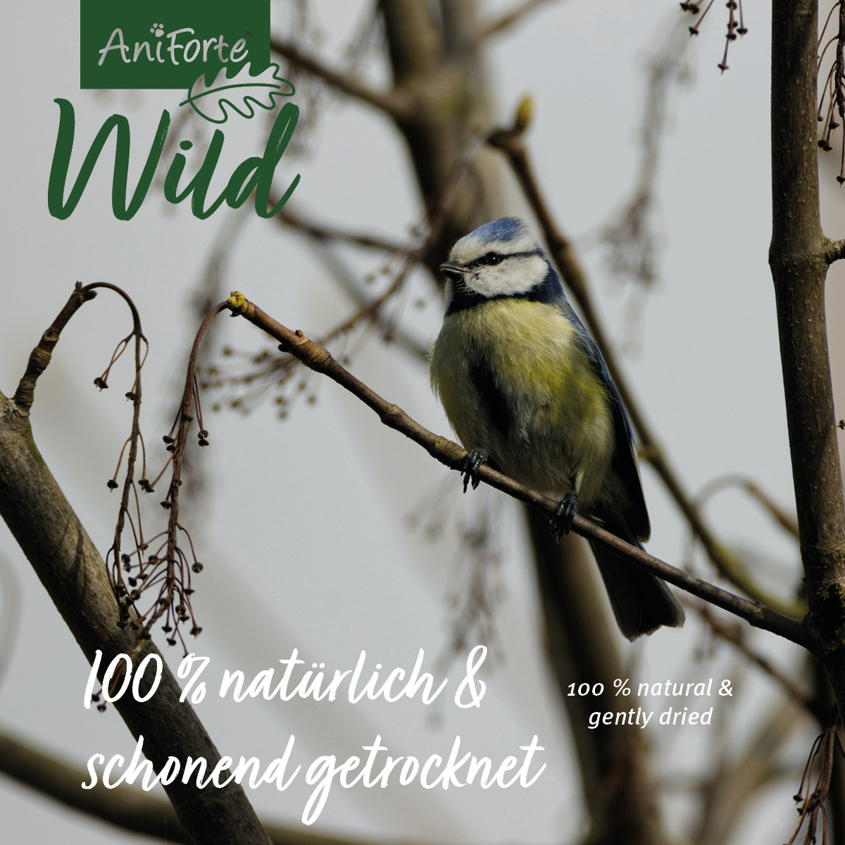 Aniforte Futter & Heu Aniforte Wild Soldatenfliegenlarven 800g