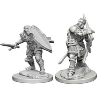 Human Male Paladin: Nolzurs Marvelous Unpainted Minis