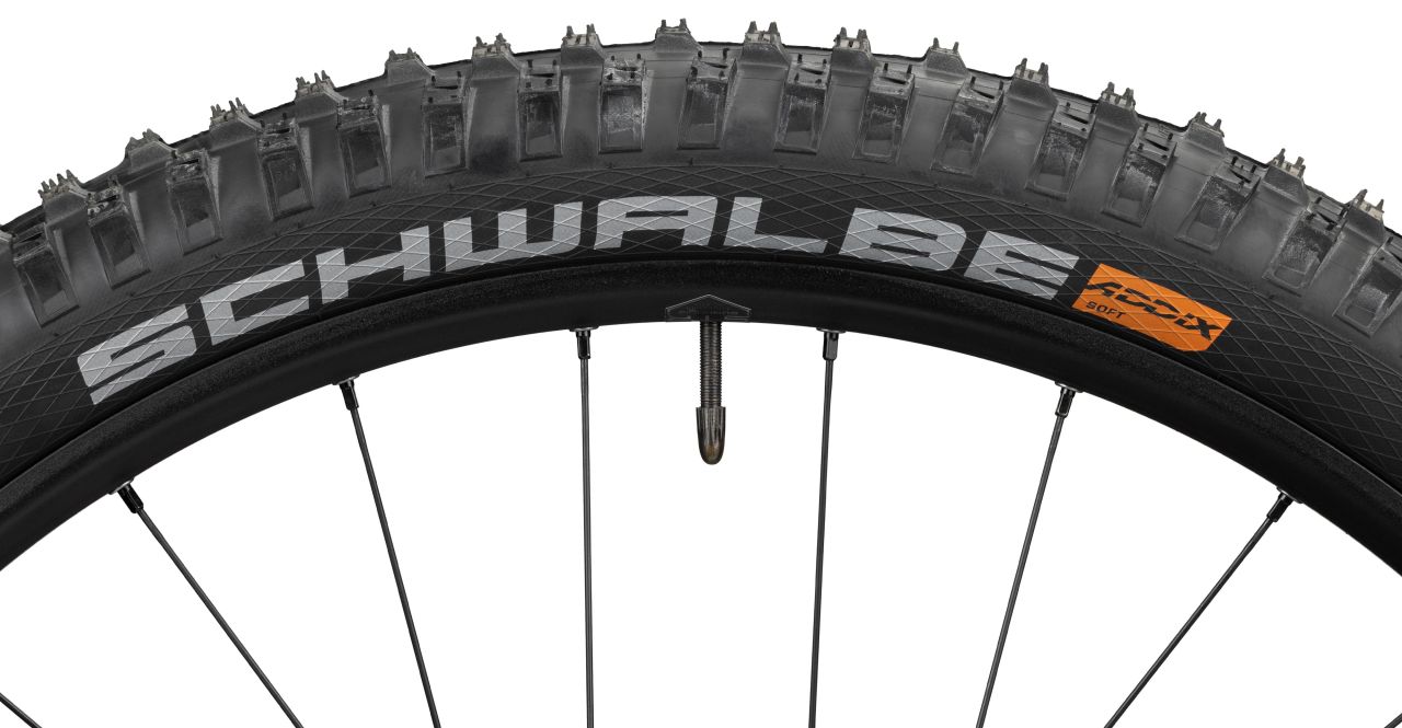 Radon Jab 10.0 kaufen | Bike-Discount