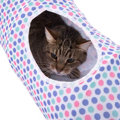 Katzentunnel Dottie