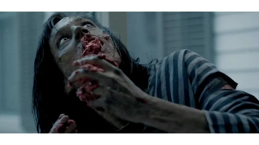 The Outbreak