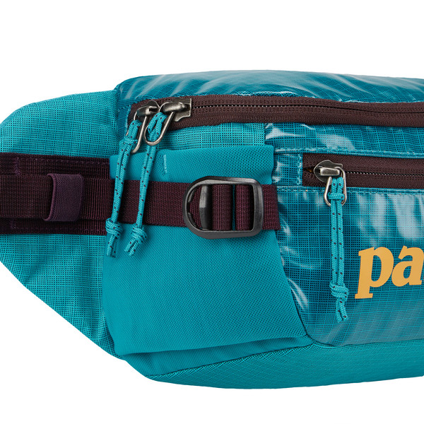 BLACK HOLE WAIST PACK 5L - Hüfttasche
