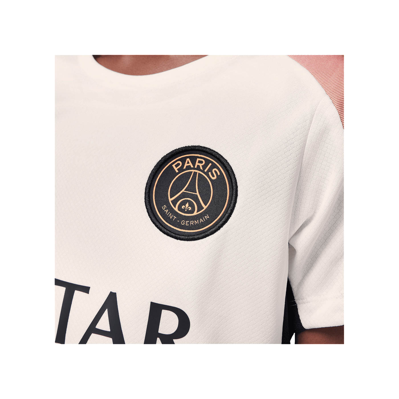 Jordan Paris St. Germain Strike Trainingshirt 3rd Kids Weiss F111